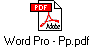 Word Pro - Pp.pdf