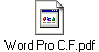 Word Pro C.F.pdf