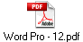 Word Pro - 12.pdf