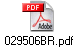 029506BR.pdf