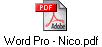 Word Pro - Nico.pdf
