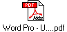 Word Pro - U....pdf