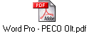 Word Pro - PECO Olt.pdf