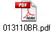 013110BR.pdf