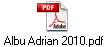 Albu Adrian 2010.pdf