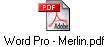 Word Pro - Merlin.pdf