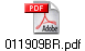 011909BR.pdf