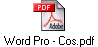 Word Pro - Cos.pdf