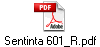 Sentinta 601_R.pdf