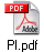 PI.pdf