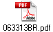 063313BR.pdf