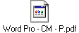 Word Pro - CM - P.pdf