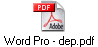 Word Pro - dep.pdf