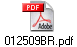 012509BR.pdf