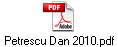 Petrescu Dan 2010.pdf