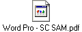 Word Pro - SC SAM.pdf