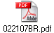 022107BR.pdf