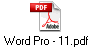 Word Pro - 11.pdf