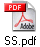 SS.pdf
