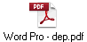 Word Pro - dep.pdf