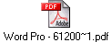 Word Pro - 61200~1.pdf