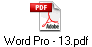 Word Pro - 13.pdf