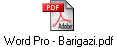 Word Pro - Barigazi.pdf