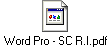 Word Pro - SC R.I.pdf