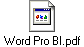Word Pro BI.pdf