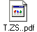 T.ZS..pdf