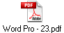 Word Pro - 23.pdf