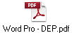 Word Pro - DEP.pdf