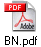 BN.pdf