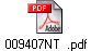 009407NT  .pdf