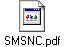 SMSNC.pdf