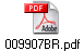 009907BR.pdf