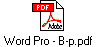 Word Pro - B-p.pdf