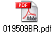 019509BR.pdf