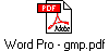 Word Pro - gmp.pdf