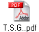 T.S.G..pdf
