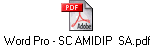 Word Pro - SC AMIDIP  SA.pdf