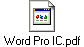 Word Pro IC.pdf