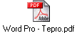 Word Pro - Tepro.pdf
