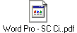 Word Pro - SC Ci..pdf