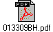 013309BH.pdf