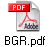 BGR.pdf