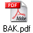 BAK.pdf